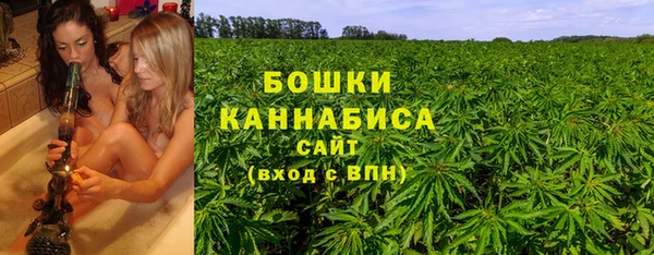 прущая мука Инта