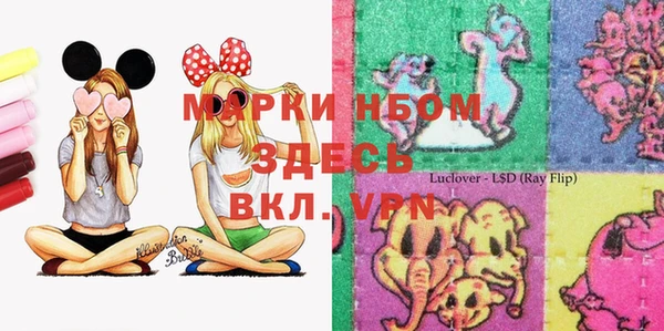 прущая мука Инта